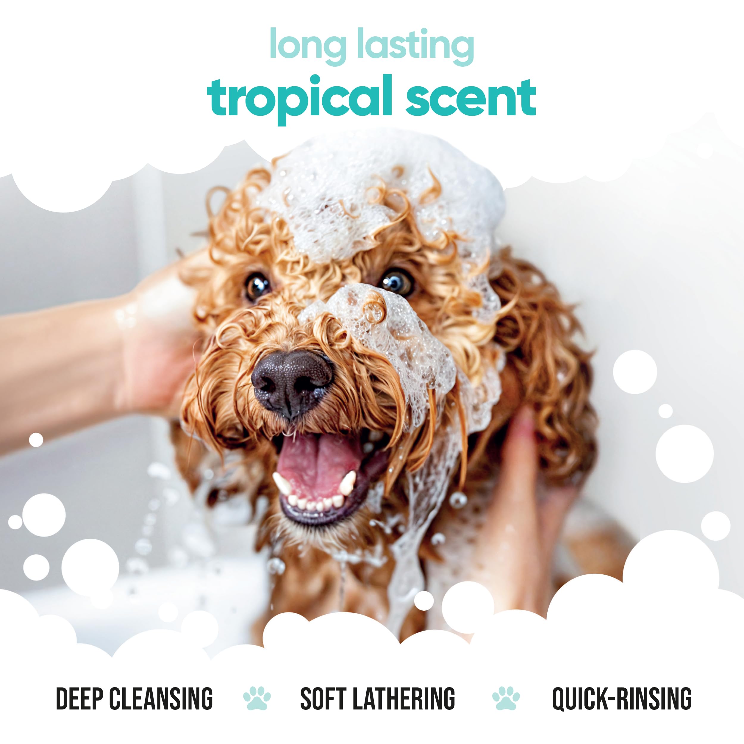 Tropical Dog Shampoo By Buddycare | Deep Cleansing Shampoo For Dogs | Tropical Scented | With Aloe Vera And Pro Vitamin B5 (33.8